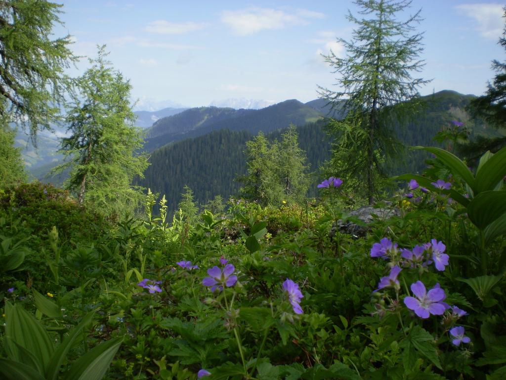 Landhaus Forsterlisl Appartement Kleinarl Buitenkant foto